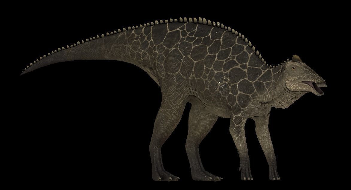 Edmontosaurus Asset Pack Low-poly 3D model_8