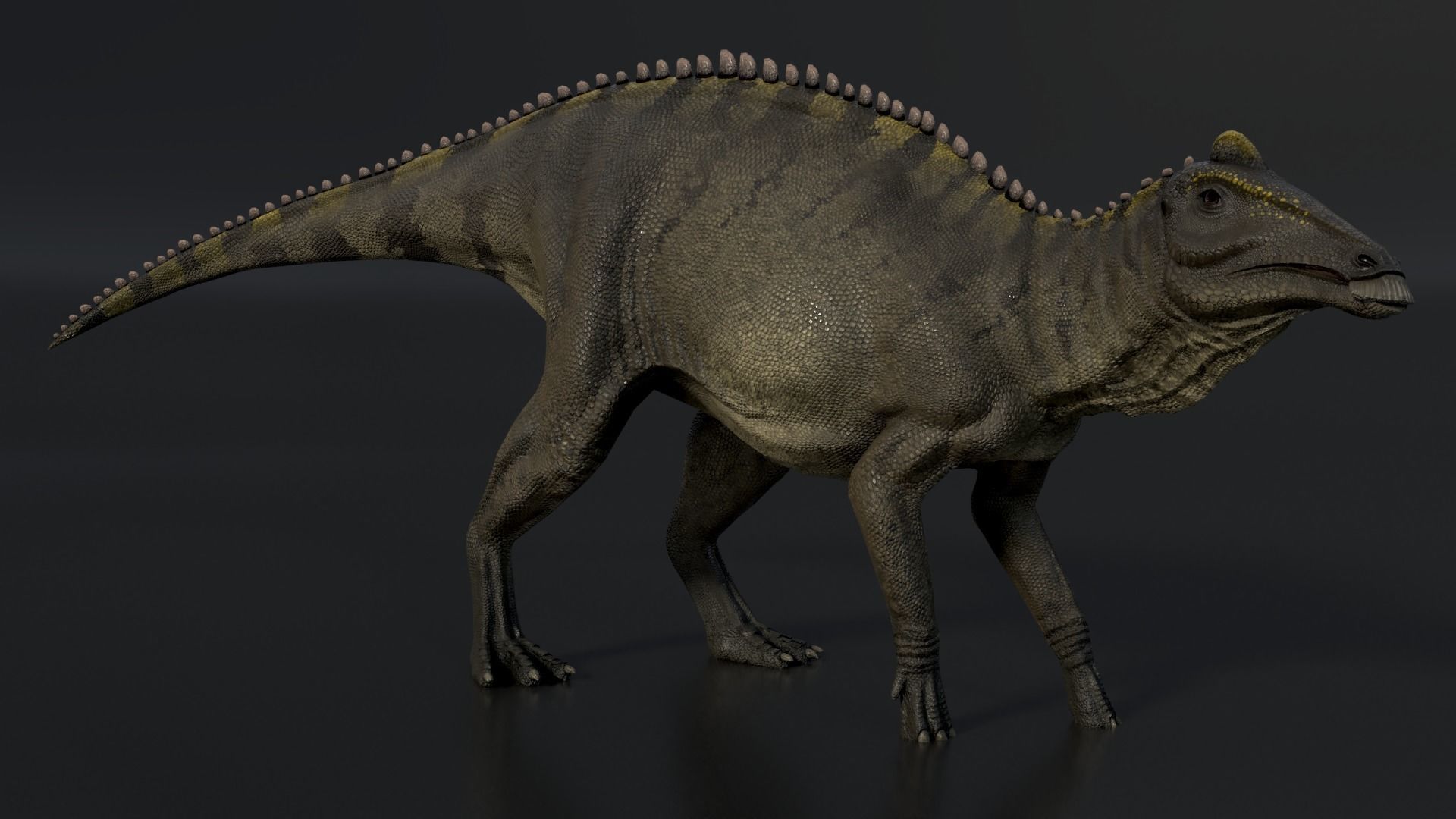 Edmontosaurus Asset Pack Low-poly 3D model_2