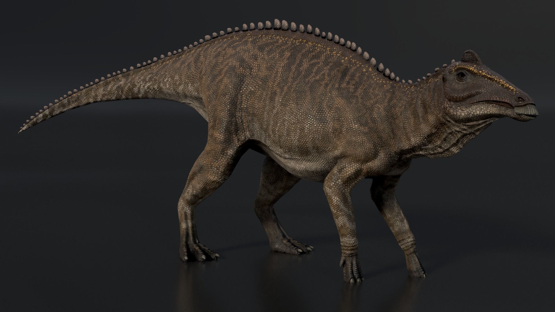 Edmontosaurus Asset Pack Low-poly 3D model_1