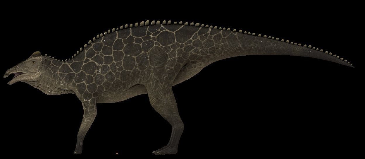 Edmontosaurus Asset Pack Low-poly 3D model_6