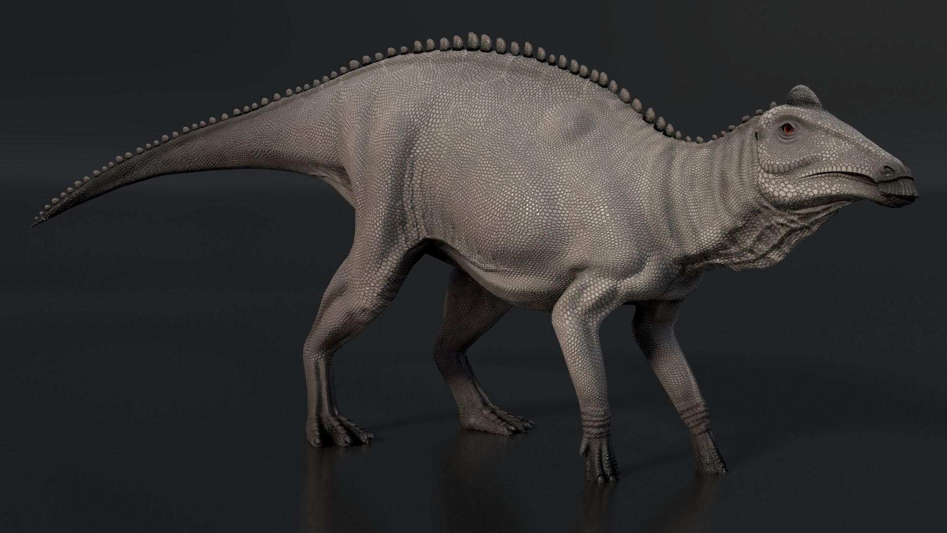Edmontosaurus Asset Pack Low-poly 3D model_4