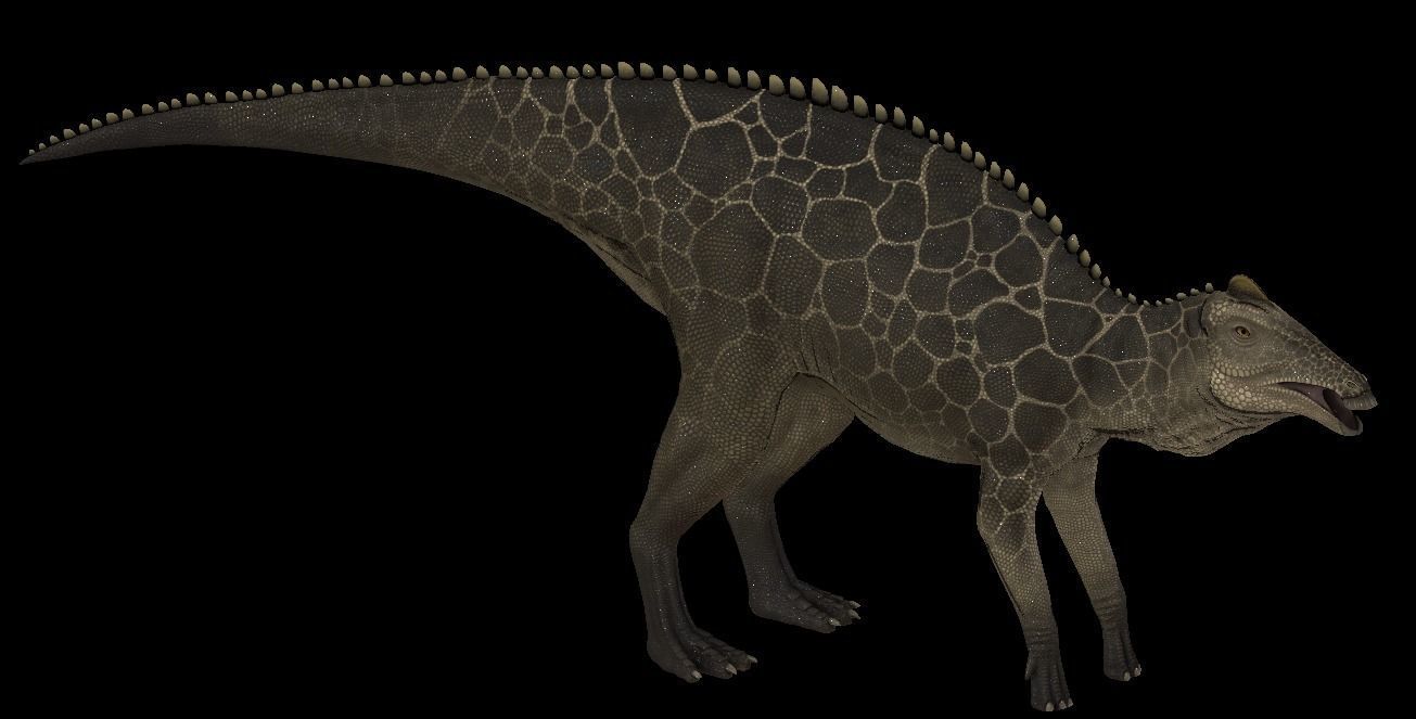 Edmontosaurus Asset Pack Low-poly 3D model_9