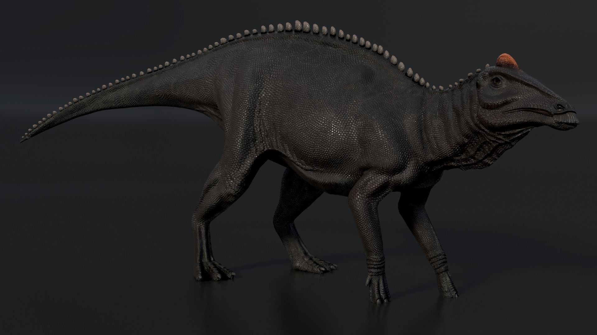 Edmontosaurus Asset Pack Low-poly 3D model_5