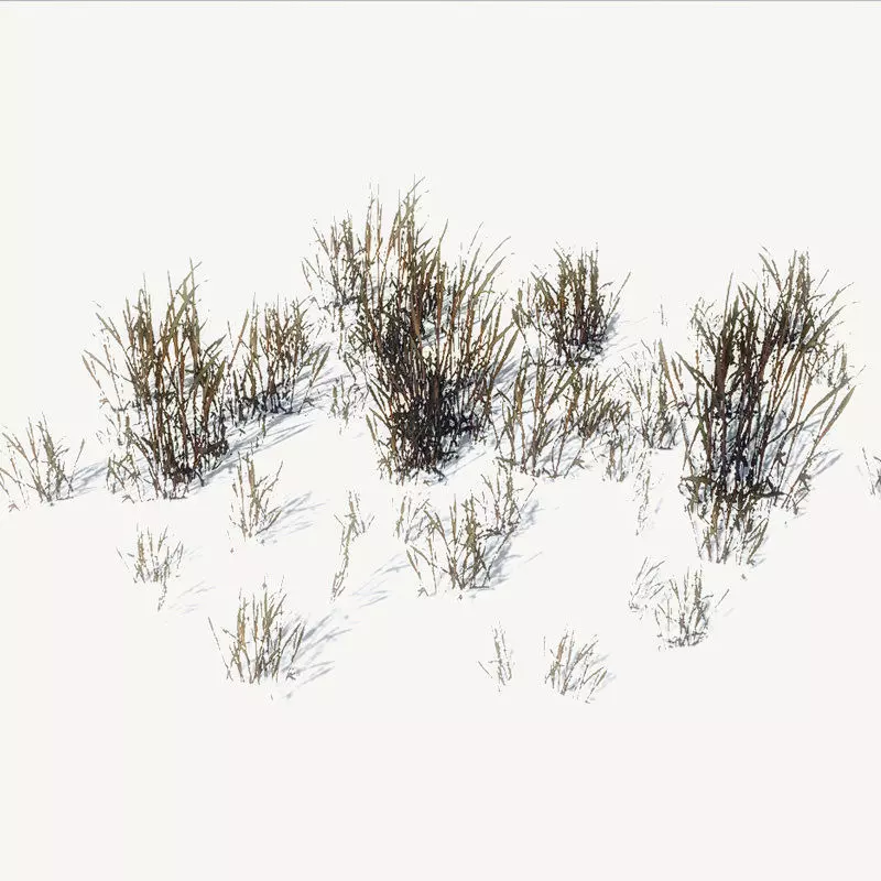 FREE Ground Plants Sample Model Free low-poly 3D model_0
