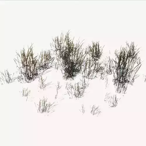 FREE Ground Plants Sample Model Free low-poly 3D model