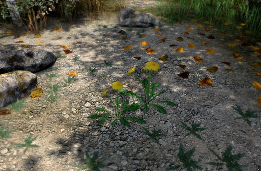 FREE Ground Plants Sample Model Free low-poly 3D model_2