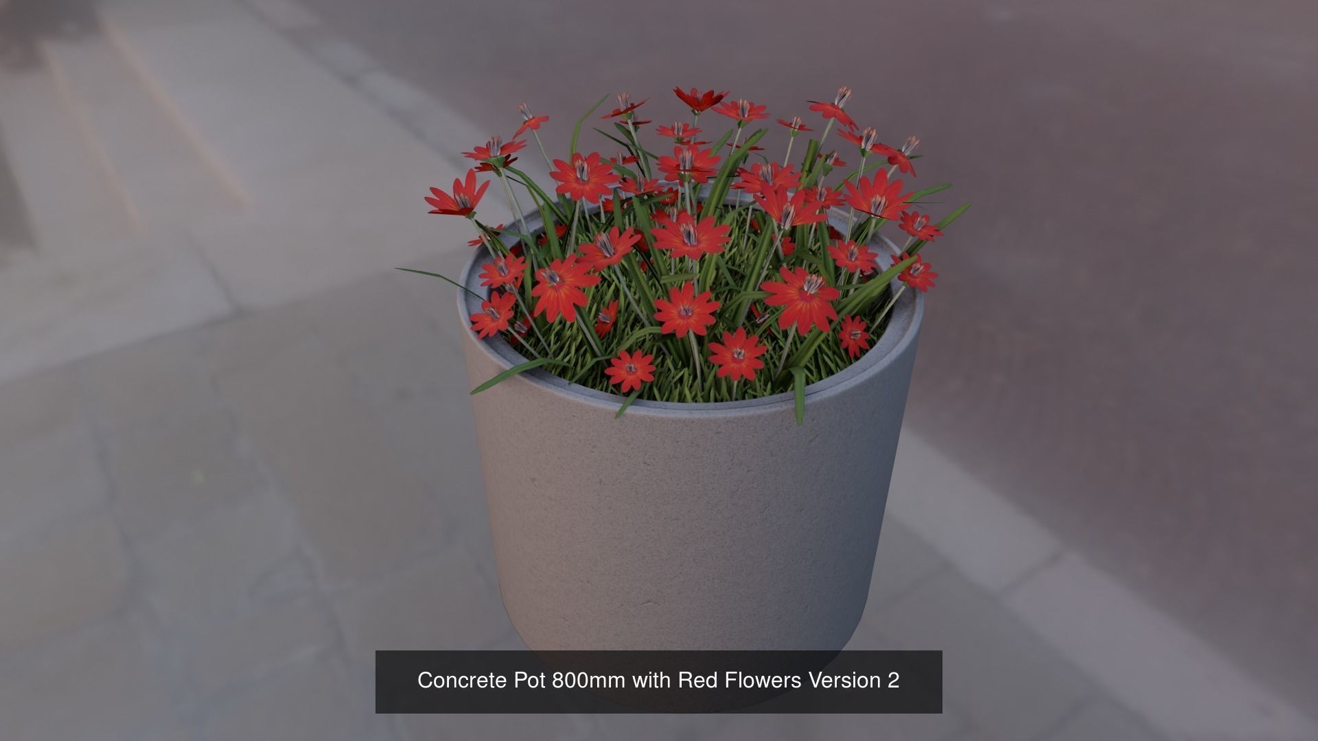 Concrete Pipe Pots With Red Flowers 3D Model Collection_7