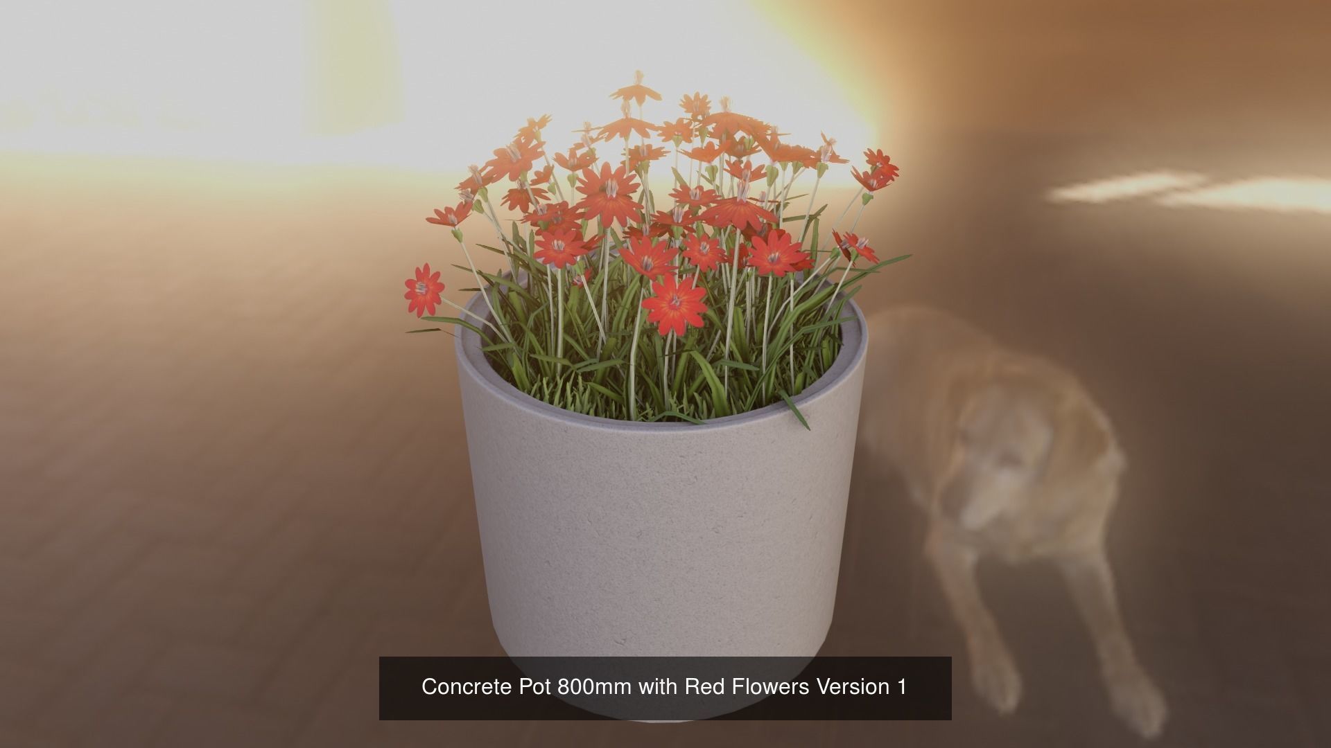Concrete Pipe Pots With Red Flowers 3D Model Collection_8