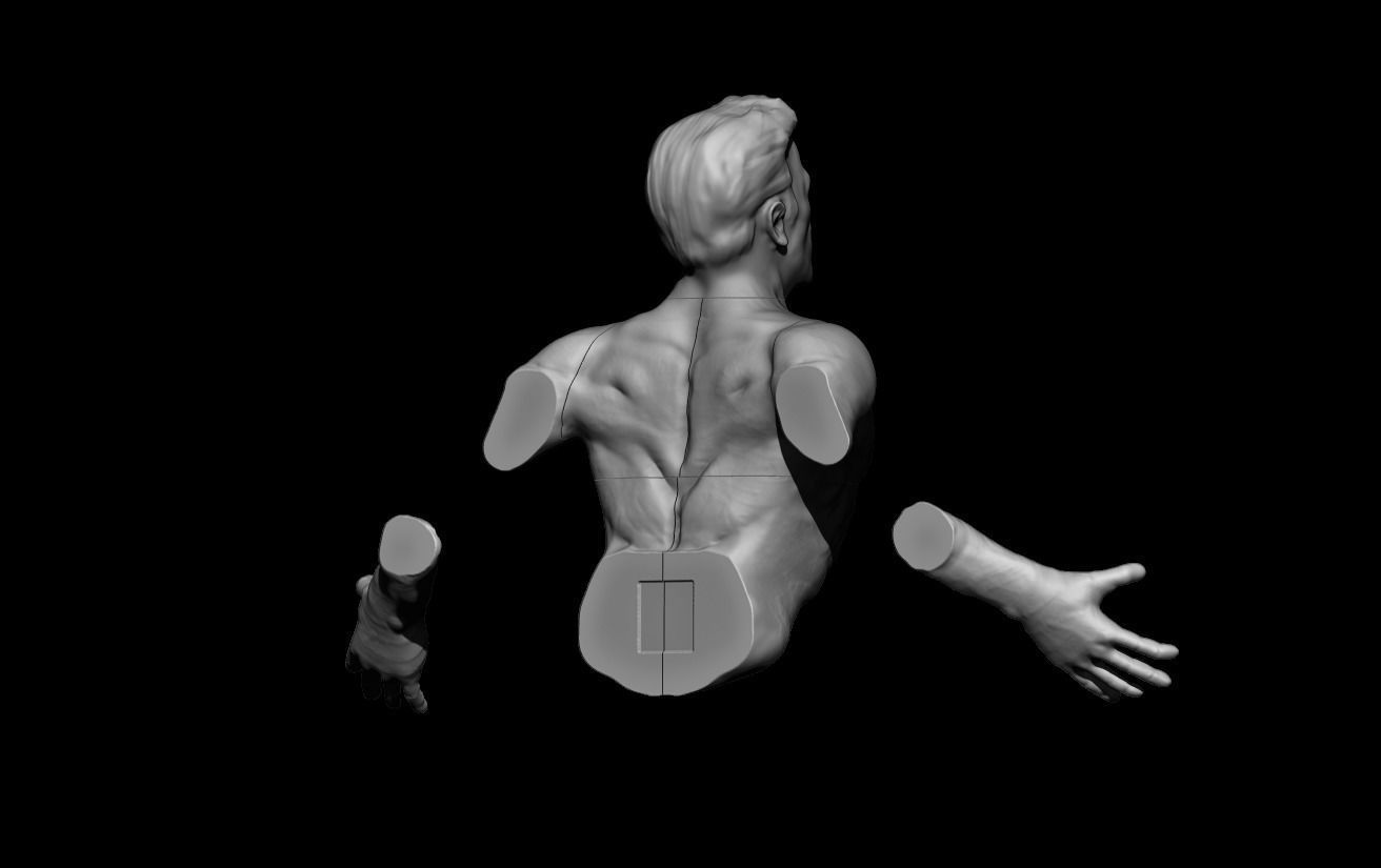 Lifesize Sculpture out of Wall STL Files for 3D Printing 3D print model_2