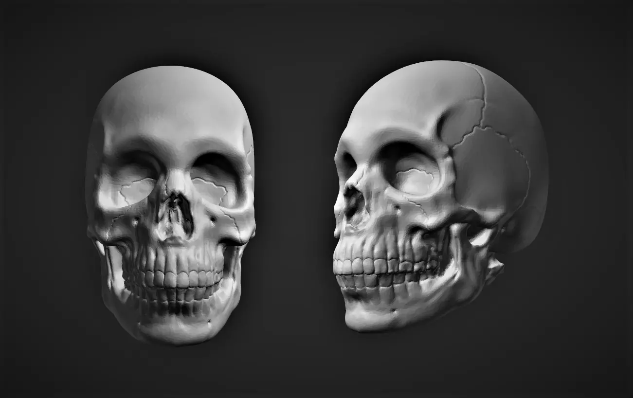 Human Skull Sculpture Free 3D print model