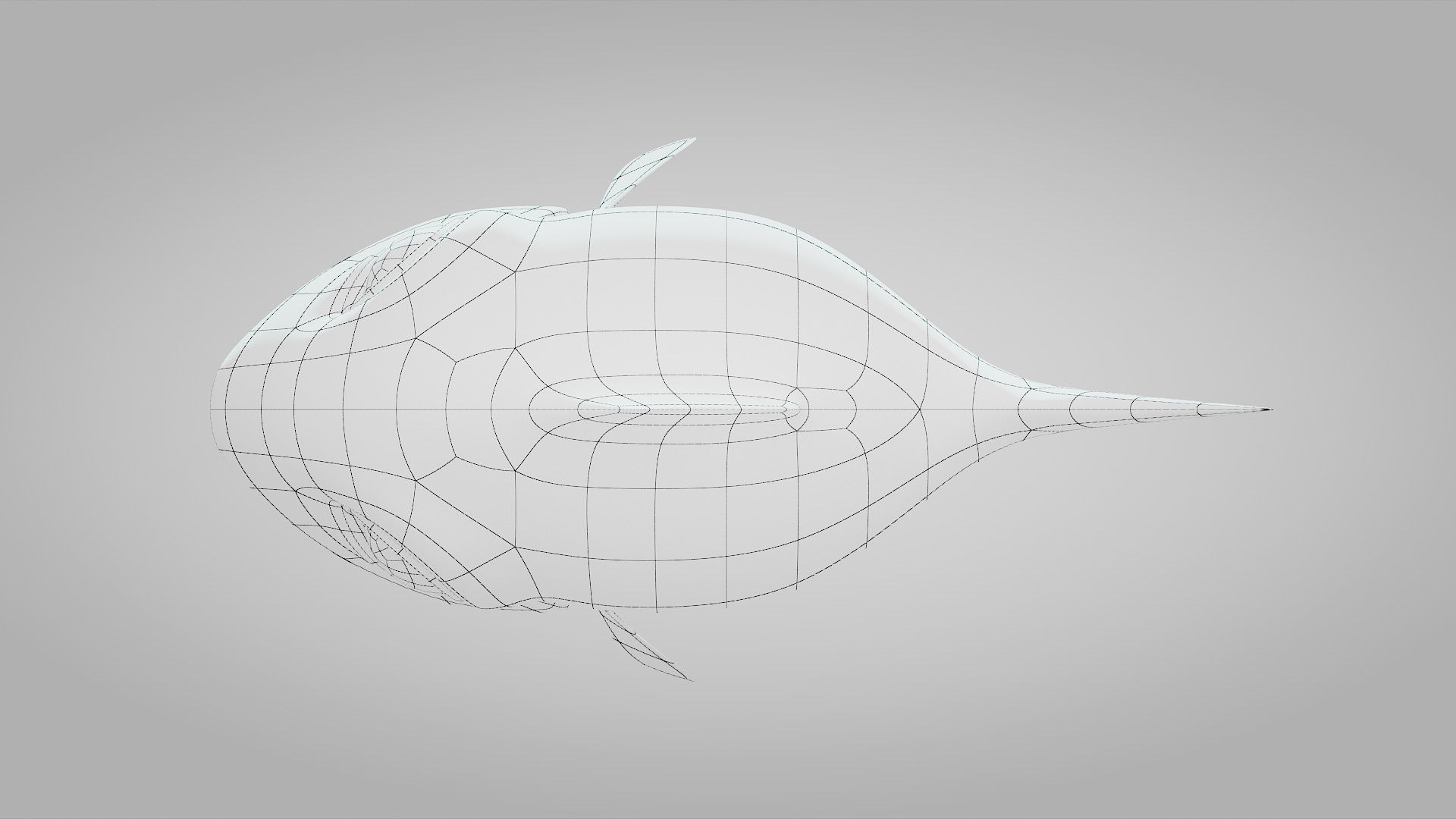 Small Fish Animated Low-poly 3D model_9
