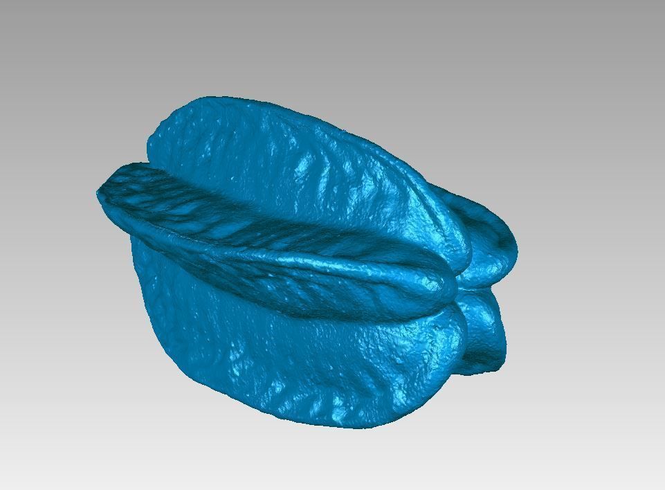 Real Starfruit Carambola High Detail 3D Scan 3D print model_7