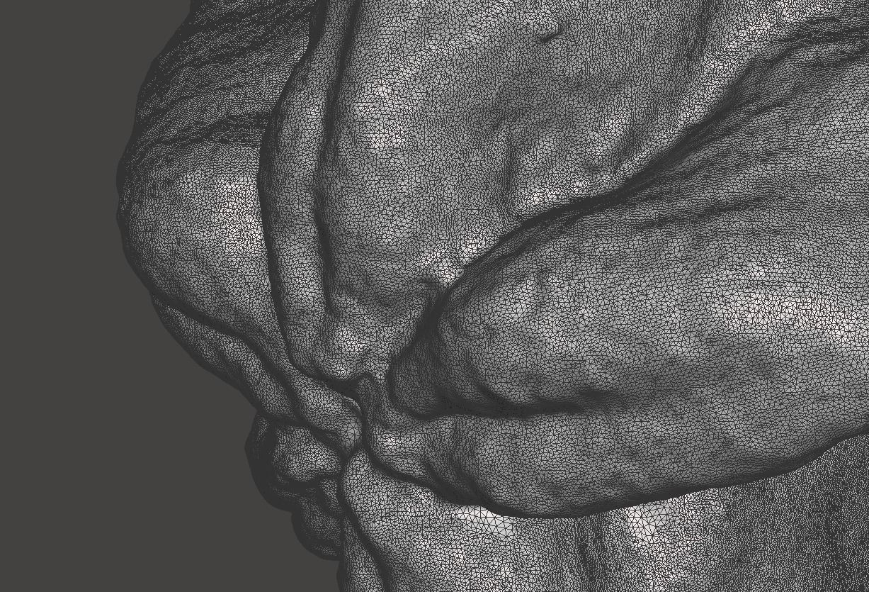 Real Starfruit Carambola High Detail 3D Scan 3D print model_8