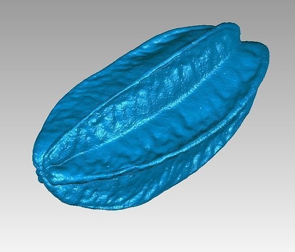 Real Starfruit Carambola High Detail 3D Scan 3D print model