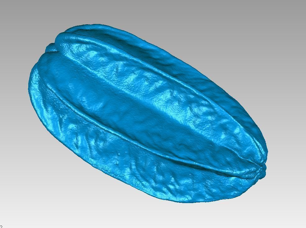 Real Starfruit Carambola High Detail 3D Scan 3D print model_5