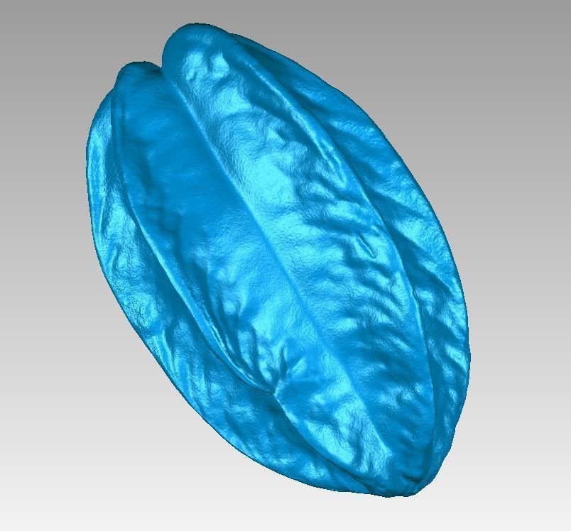 Real Starfruit Carambola High Detail 3D Scan 3D print model_9