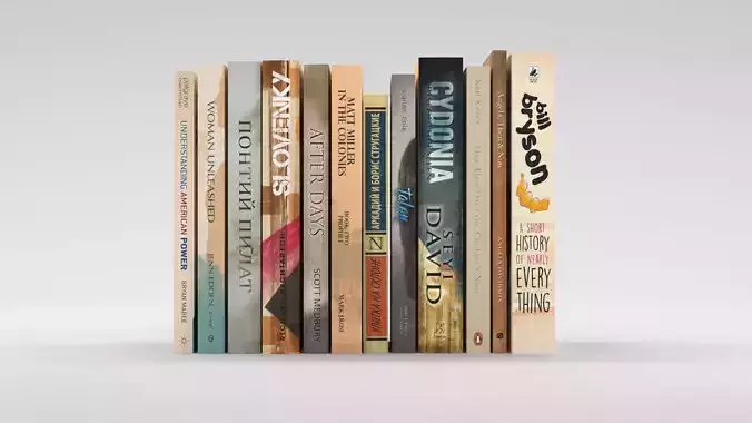 12 hardcover beige books Free 3D model