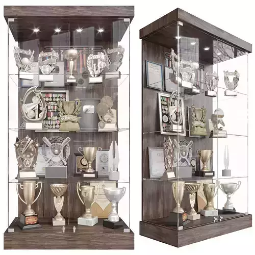 Award cabinet 2