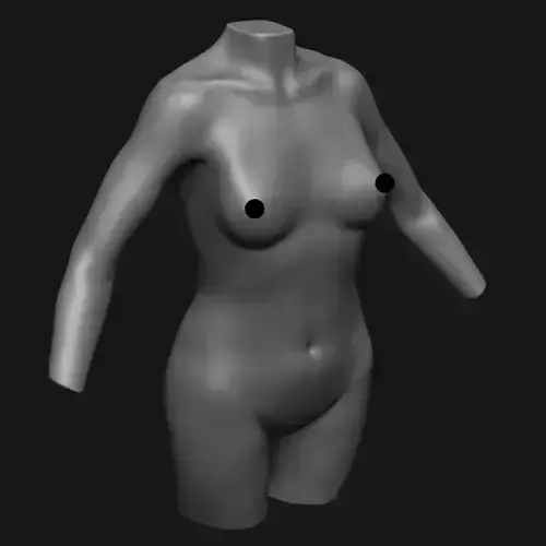 Woman Torso