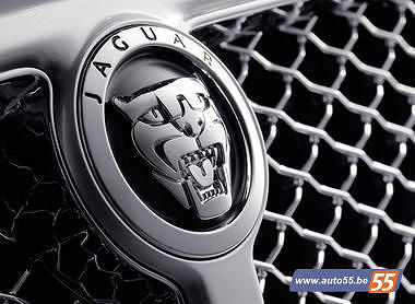 Jaguar keychain  3D print model