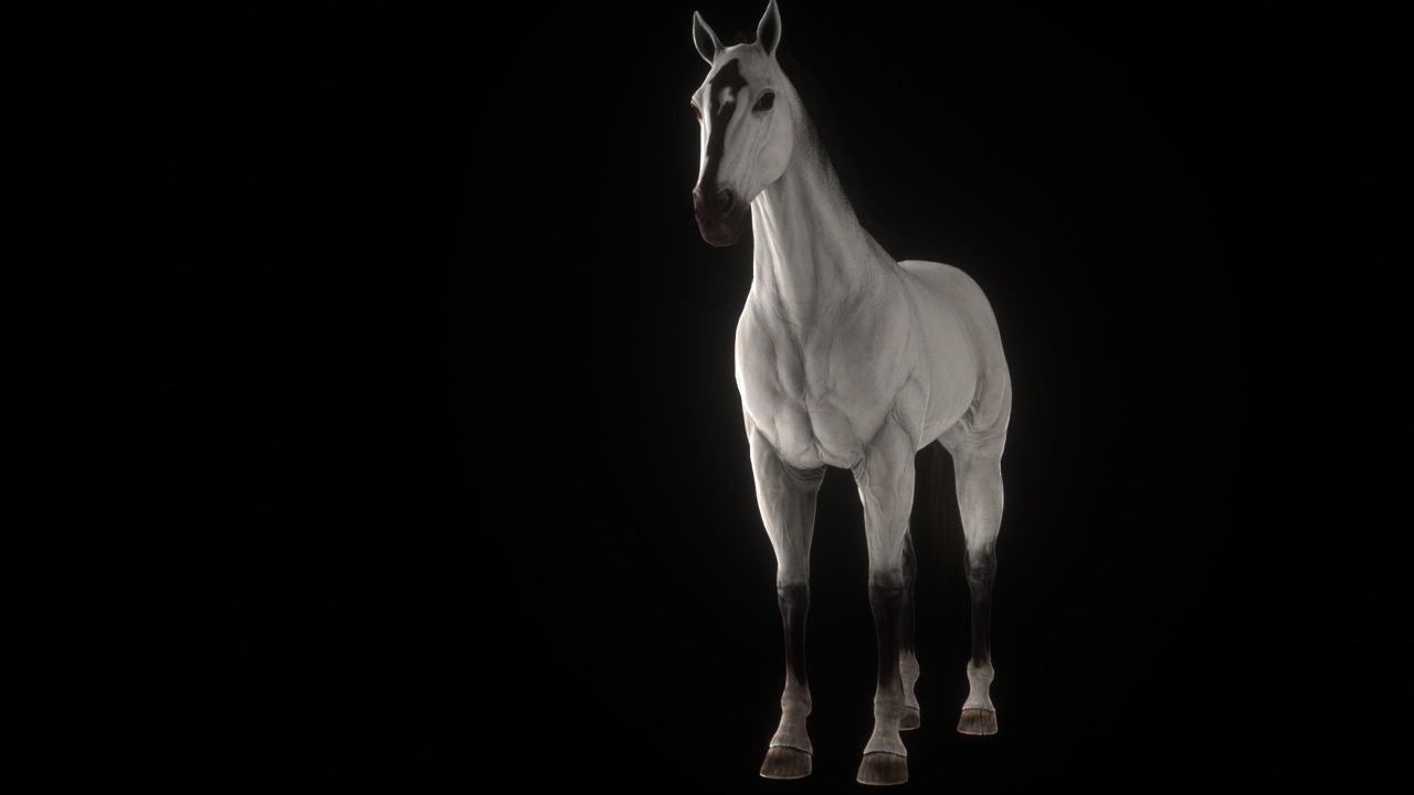 Three Horses Low-poly 3D model_5