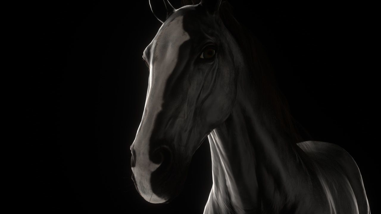 Three Horses Low-poly 3D model_7