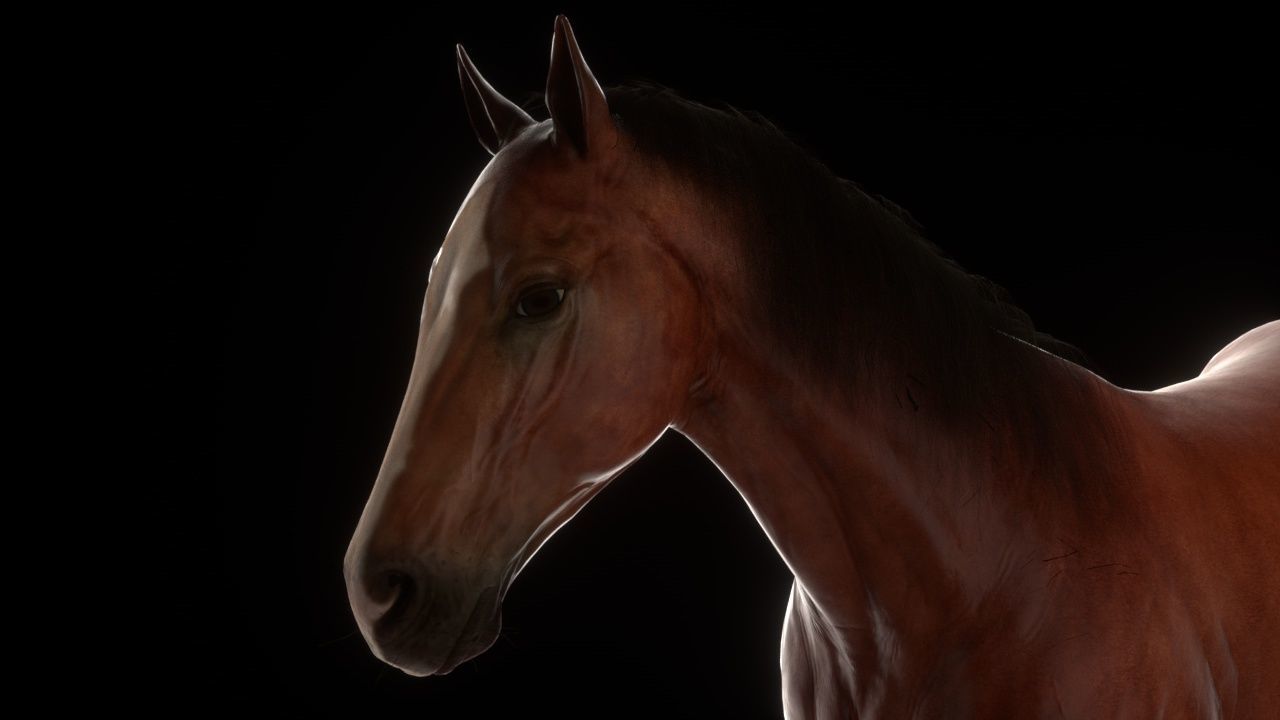 Three Horses Low-poly 3D model_2