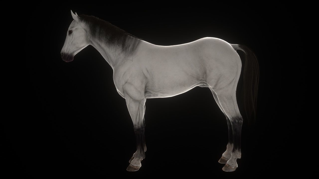 Three Horses Low-poly 3D model_4