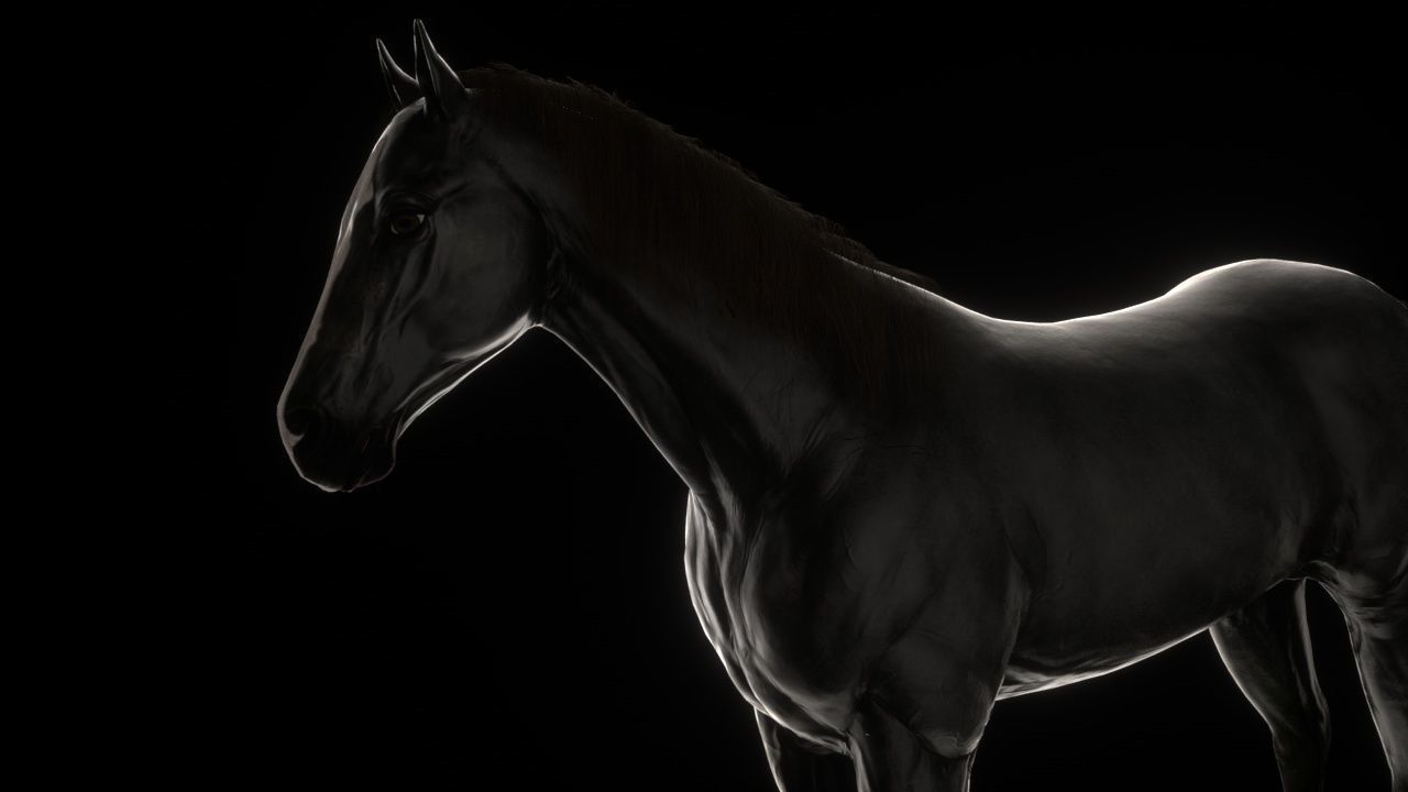 Three Horses Low-poly 3D model_6