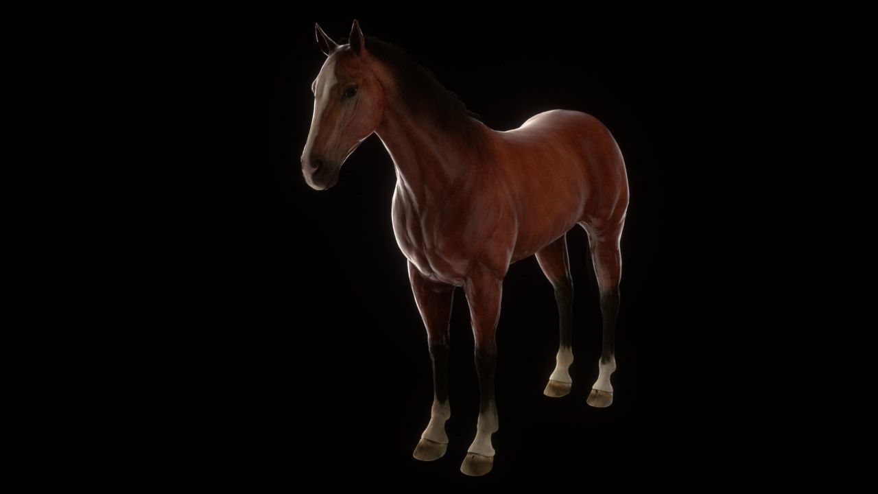 Three Horses Low-poly 3D model_1