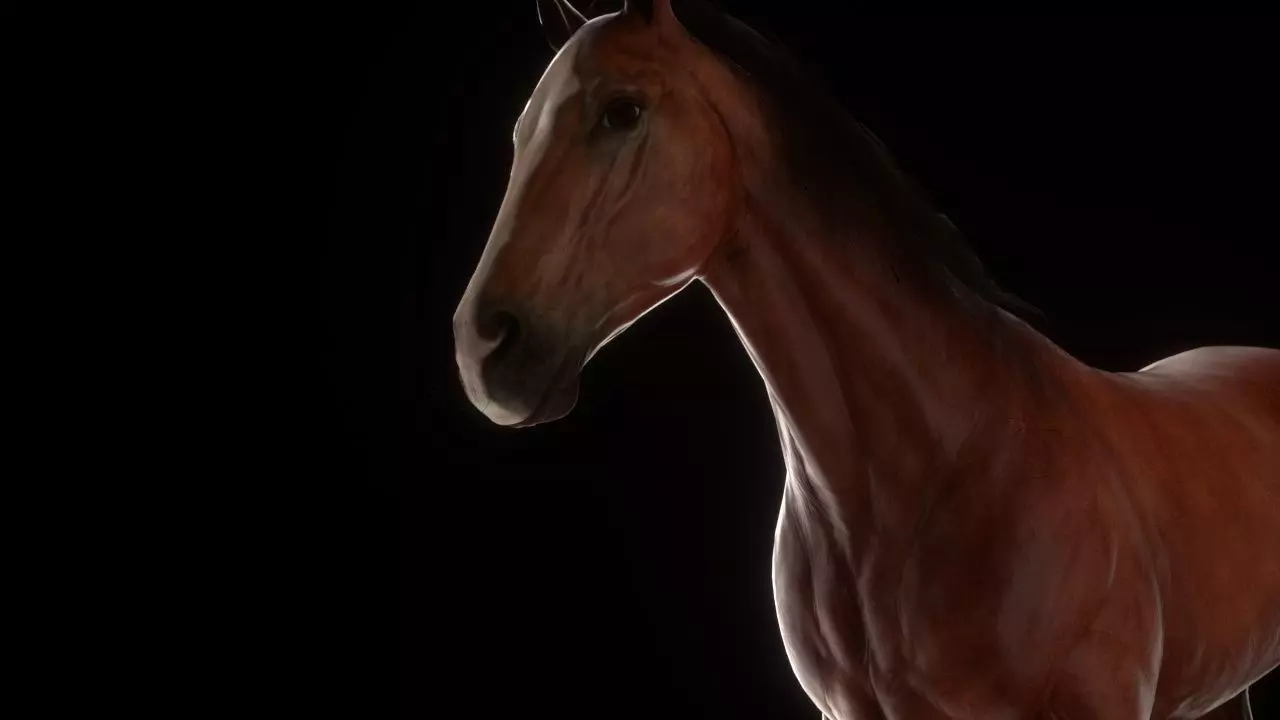 Three Horses Low-poly 3D model_0