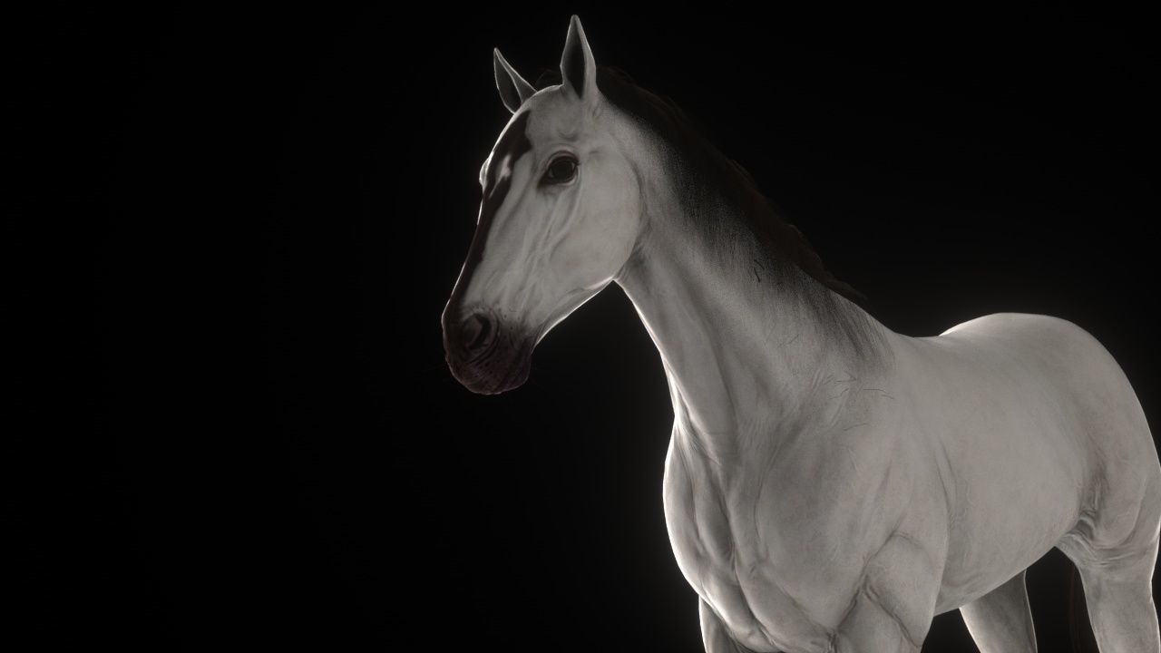 Three Horses Low-poly 3D model_9