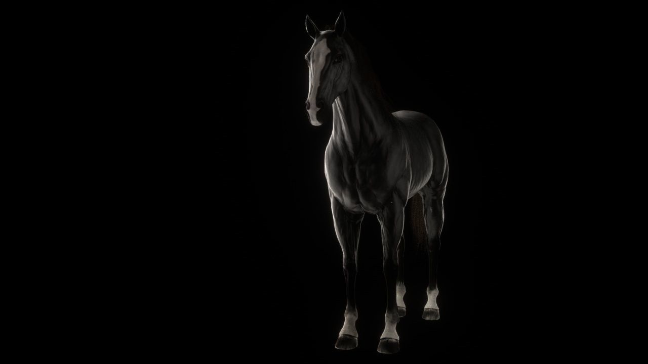 Three Horses Low-poly 3D model_8