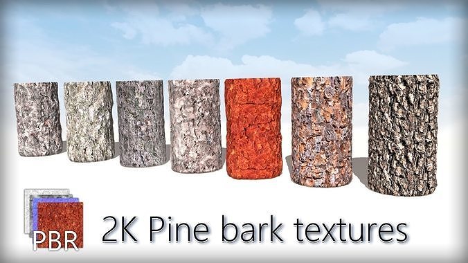 Pine Trees Bark PBR 2k tile textures wood materials Texture