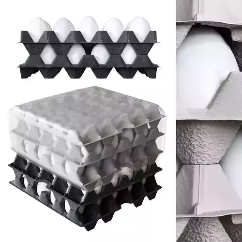 Tray of Eggs Wrapped in Plastic Wrapped