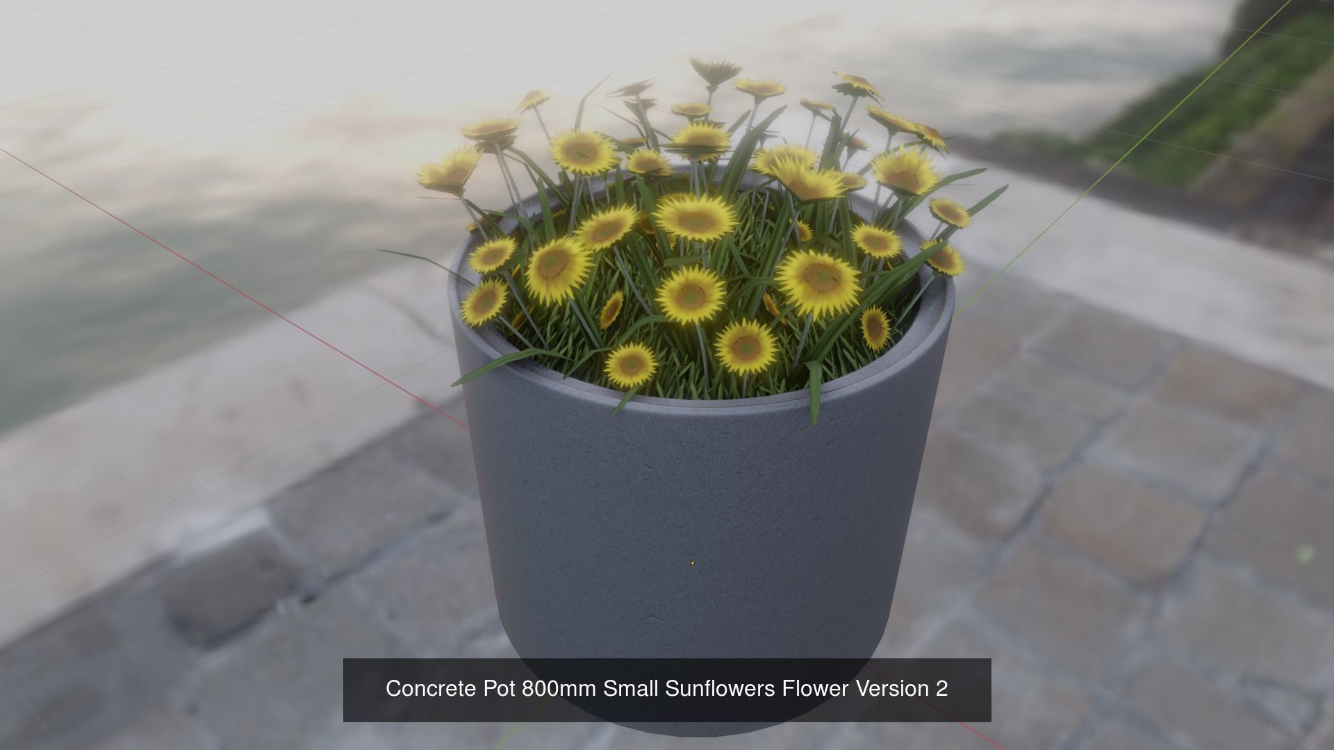 Small Sunflowers in Concrete Pipe Pots 3D Model Collection_7