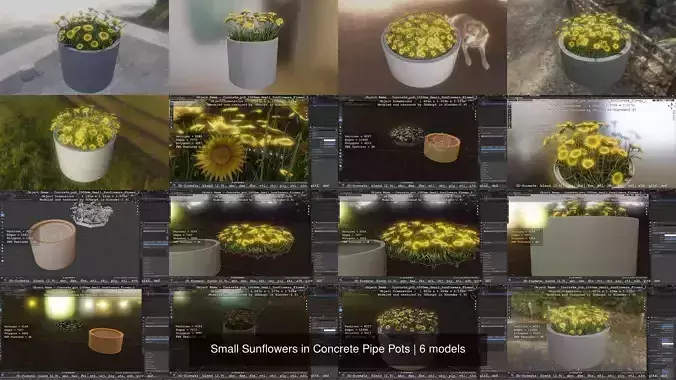 Small Sunflowers in Concrete Pipe Pots 3D Model Collection
