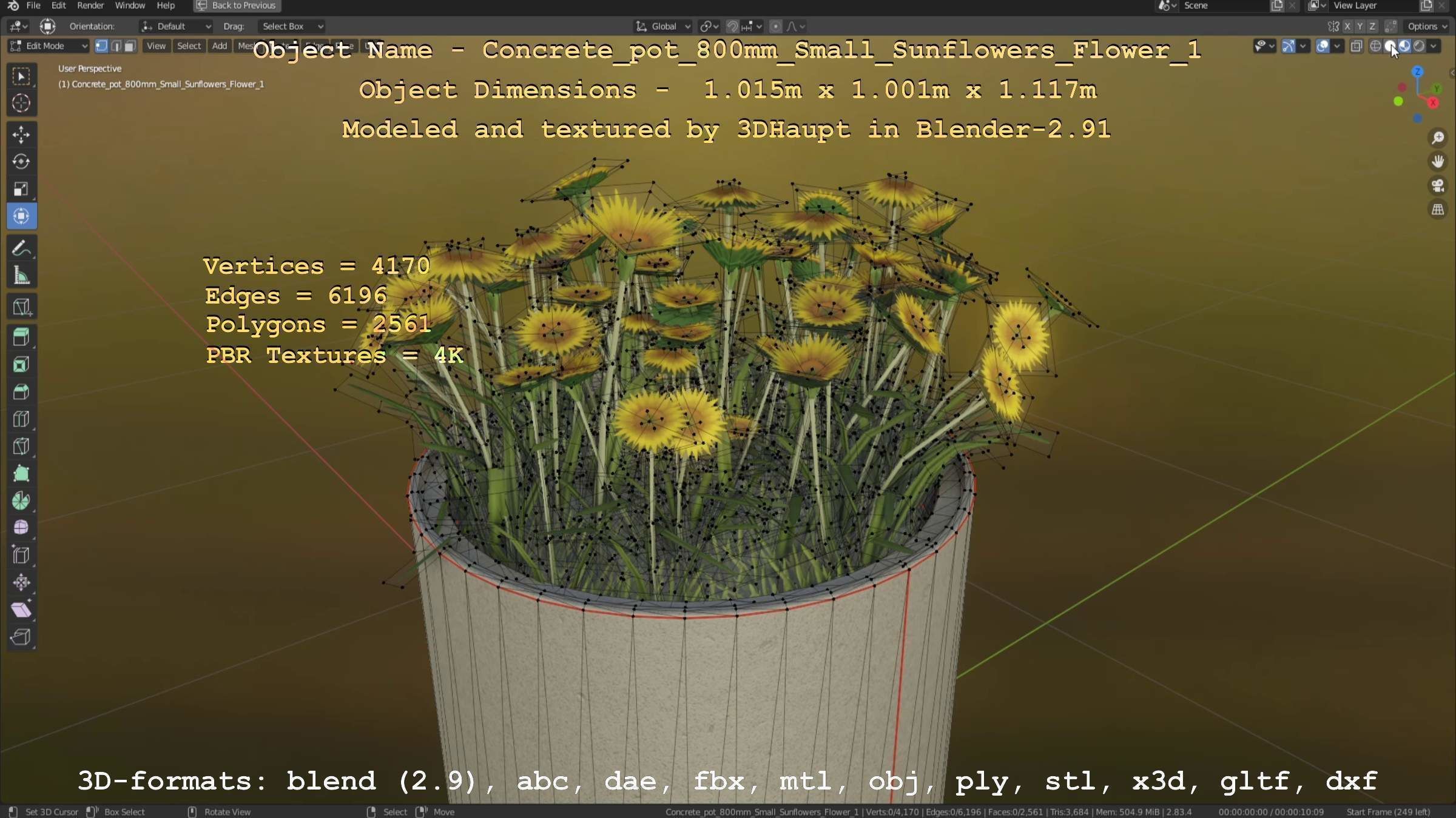 Small Sunflowers in Concrete Pipe Pots 3D Model Collection_69