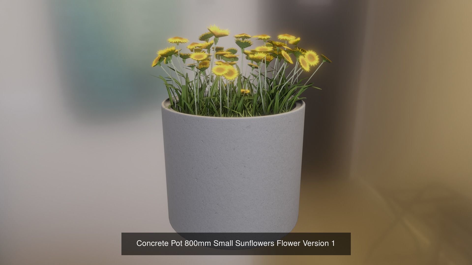 Small Sunflowers in Concrete Pipe Pots 3D Model Collection_8