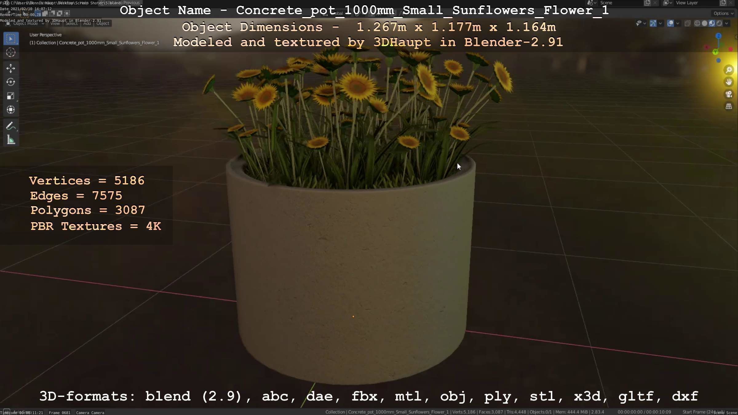 Small Sunflowers in Concrete Pipe Pots 3D Model Collection_47