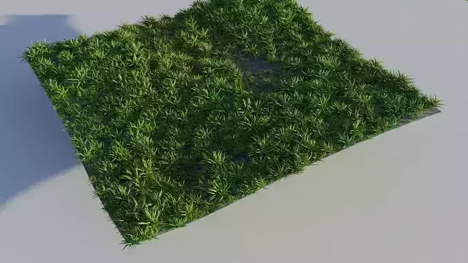 Realistic Grass