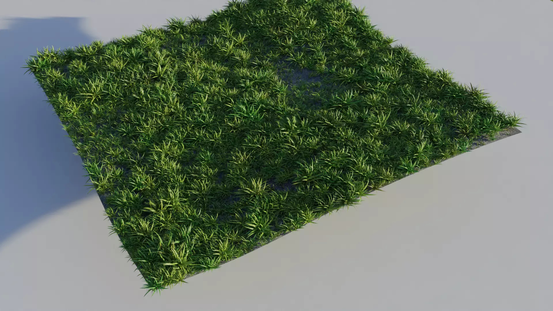 Realistic Grass Low-poly 3D model