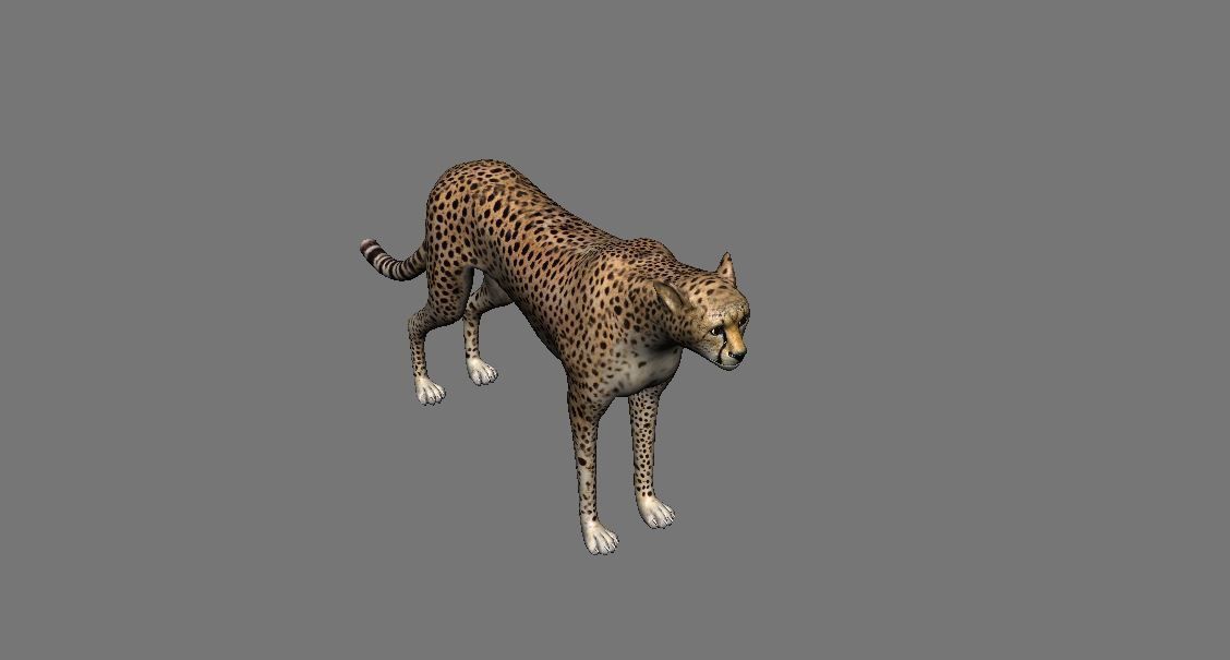 Leopard Panther Puma Jaguar Model Rig Low-poly 3D model_8