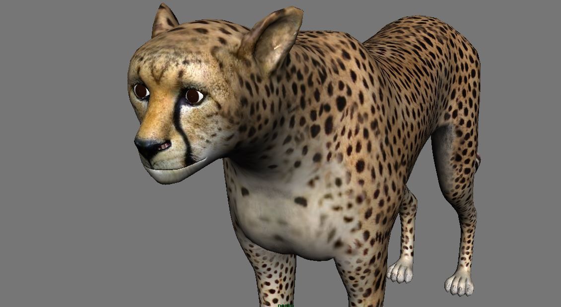 Leopard Panther Puma Jaguar Model Rig Low-poly 3D model_9