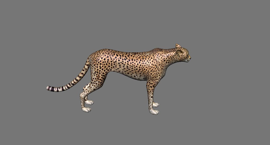 Leopard Panther Puma Jaguar Model Rig Low-poly 3D model_7
