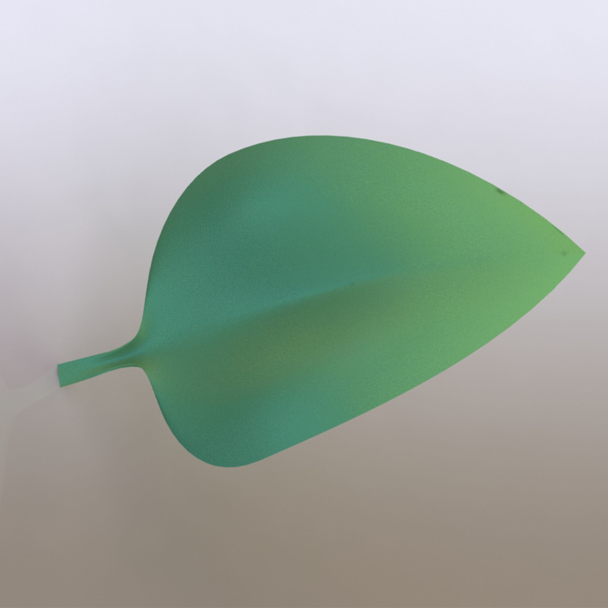 soft leaf 3D model_6