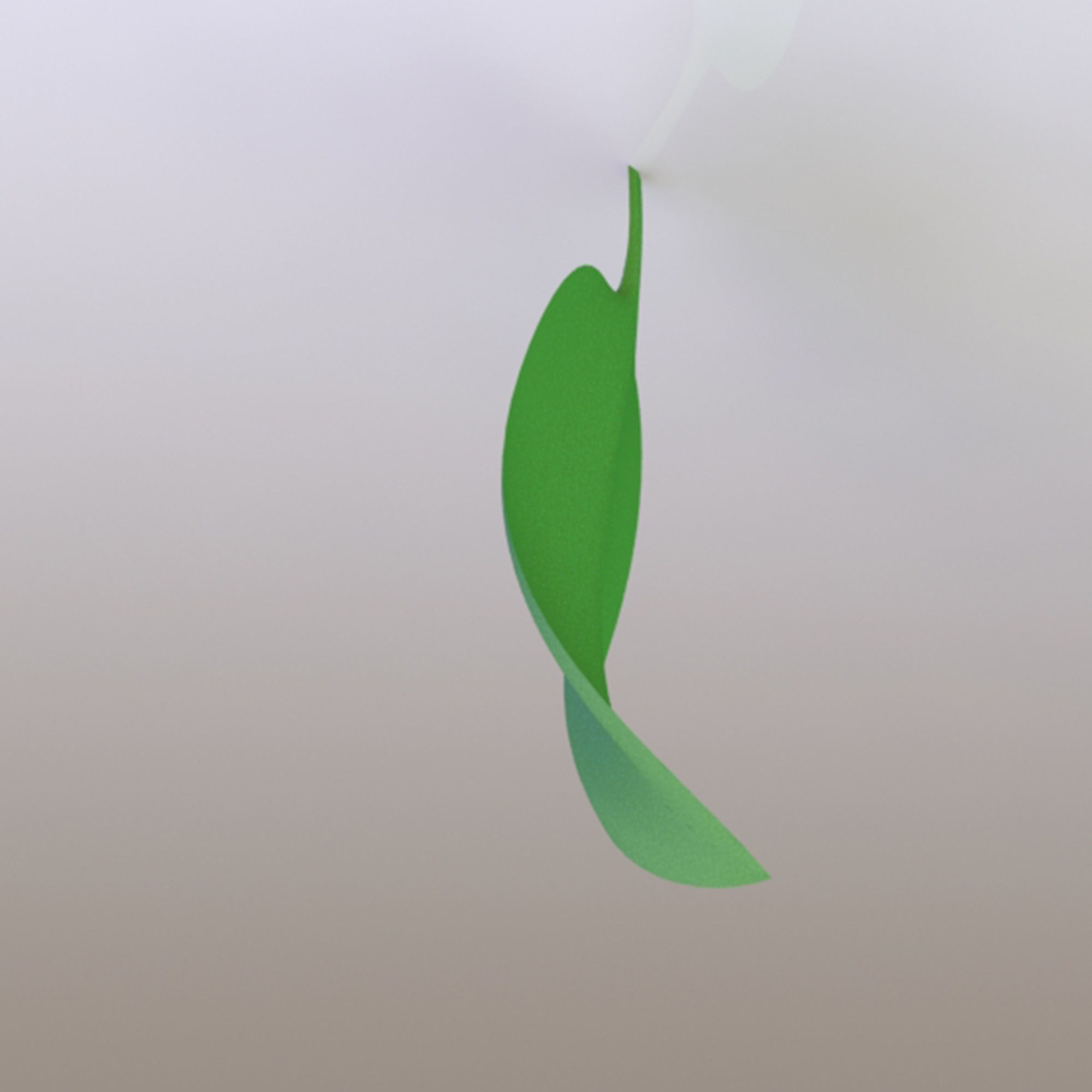 soft leaf 3D model_4