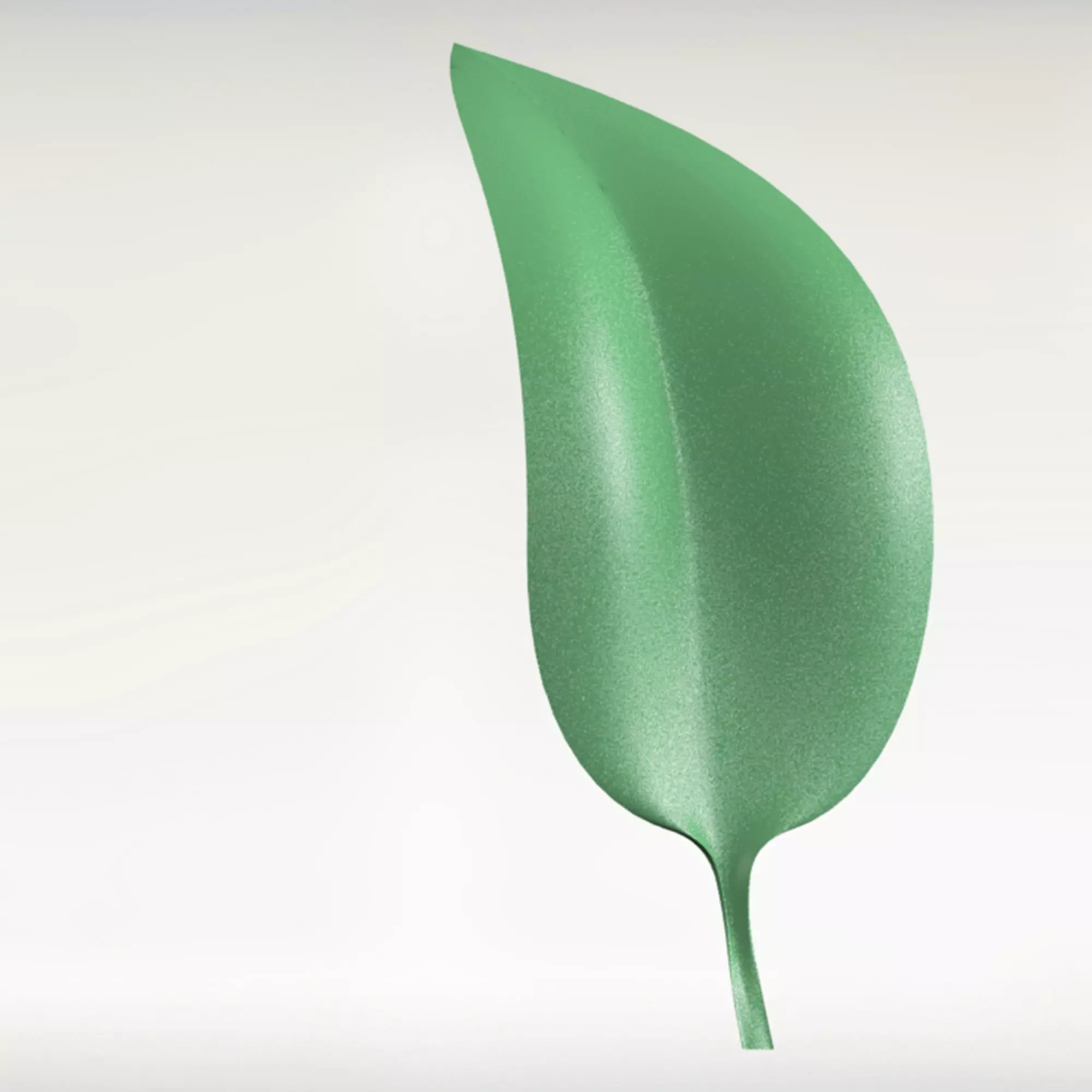 soft leaf 3D model_0
