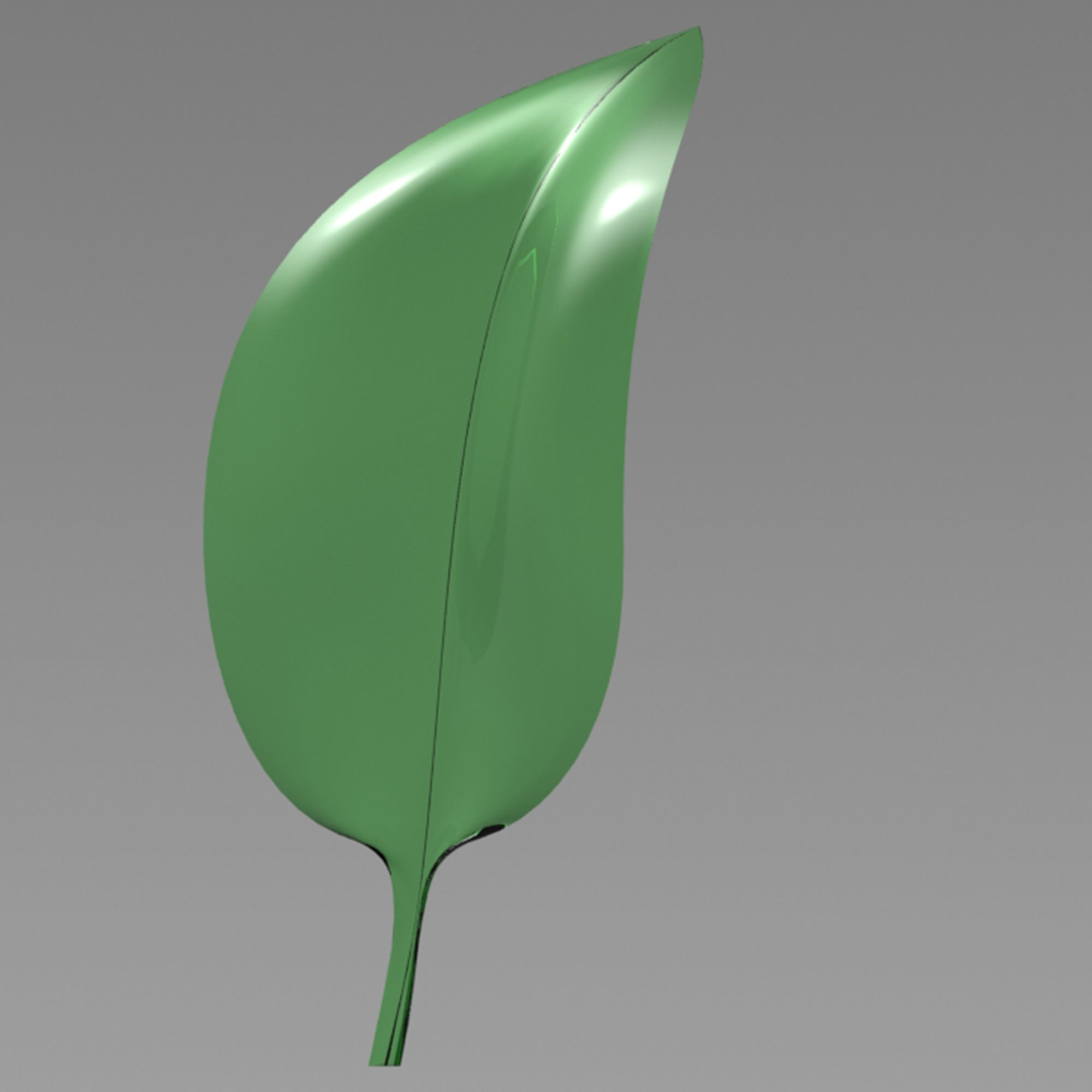 soft leaf 3D model_2