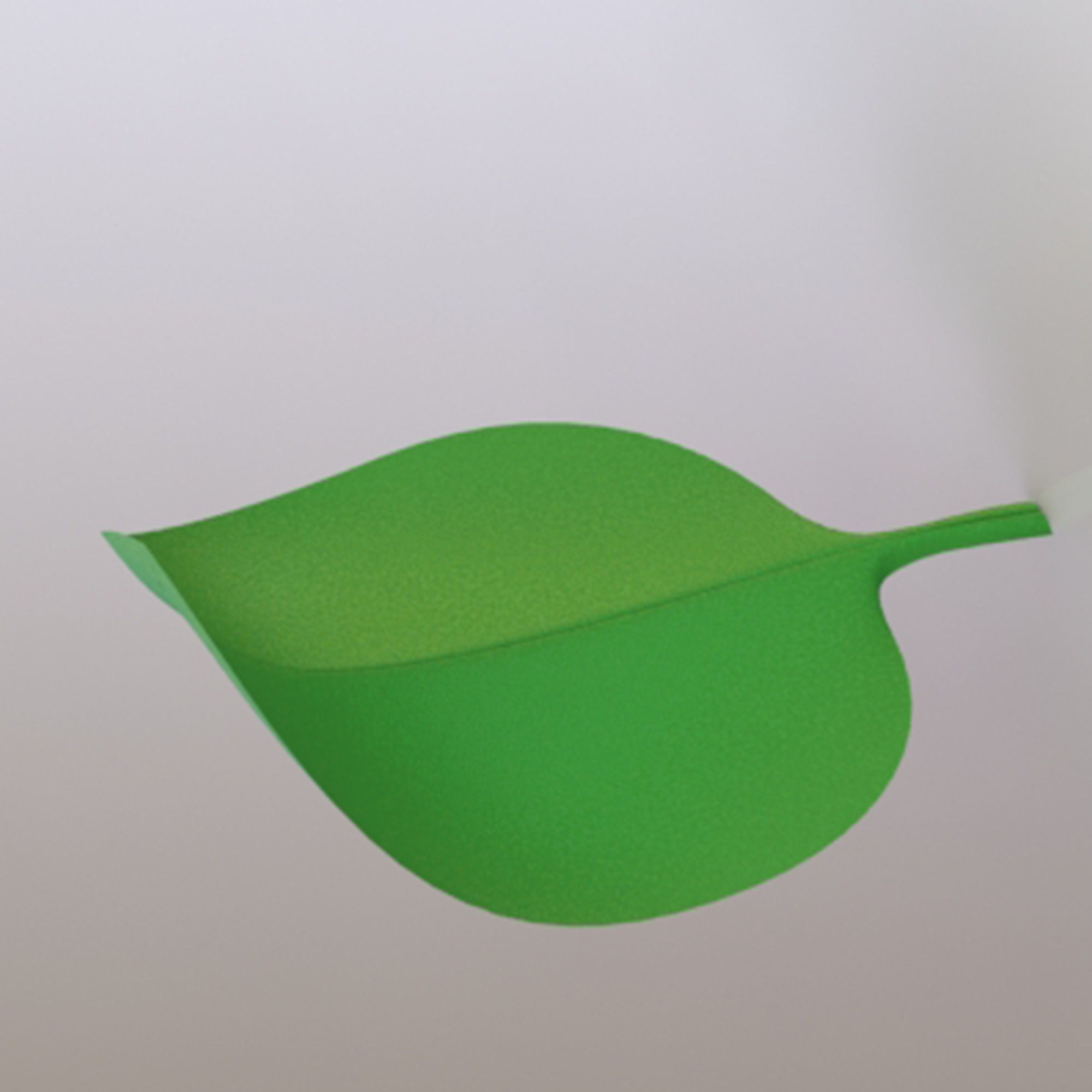soft leaf 3D model_3